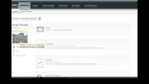 Website Dublin - Uploading Single & Multiple Images in CMSMS