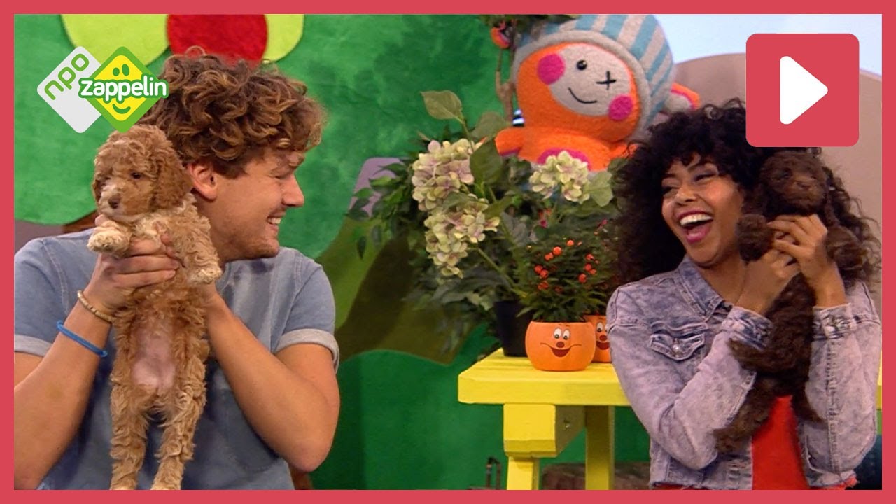 HUISDIEREN | Zin in Zappelin | NPO Zappelin