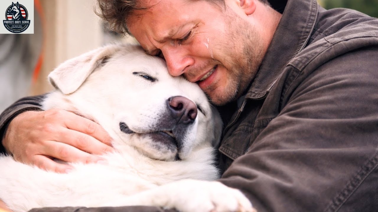 Beautiful Actor Elvin Ng And Host Lee Teng Post Painful Goodbyes To Their Late Dogs Artwork for Your Screen Beautiful Actor Elvin Ng And Host Lee Teng Post Painful Goodbyes To Their Late Dogs Artwork for Your Screen