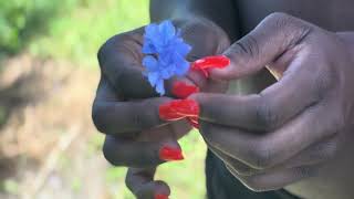 Micro short film “Bundle of Joy “