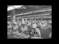 1977г. Петрозаводск. слюдяная фабрика.