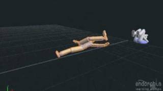 Wickedshyns Endorphin Vid 7