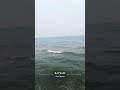قصيدة يابحر السهي يابحرنا