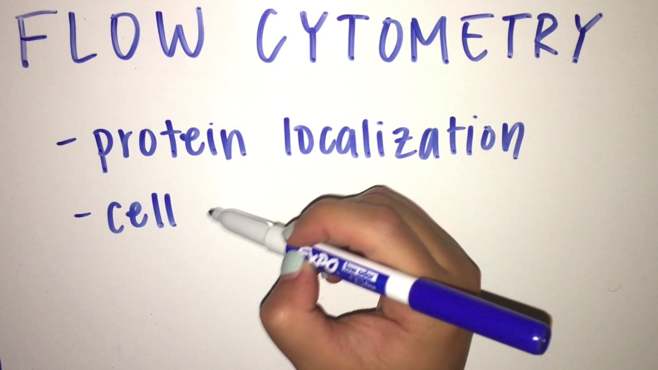 Molecular Biology Techniques Visualizing, Quantifying, and Editing the