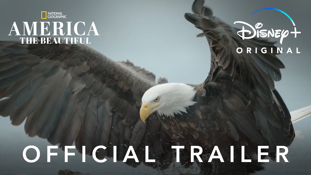 AMERICA THE BEAUTIFUL | Trailer