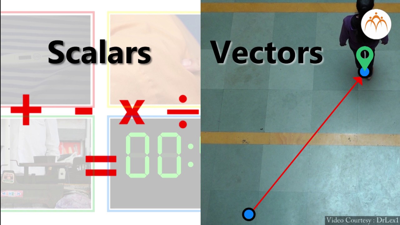 Scalars and Vectors - YouTube