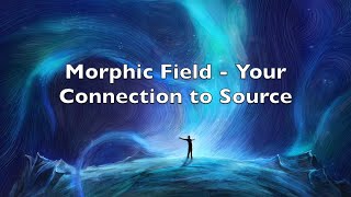 Morphic Field