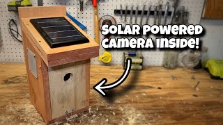 EASIEST DIY Birdhouse with Solar Powered Wifi Camera inside, Every Step Explained