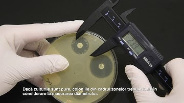4  Reading of zones in EUCAST disk diffusion (Romanian)