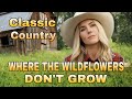 Where the Wildflowers Don’t Grow | Heartfelt Modern Country Ballad (Official Lyric Video)