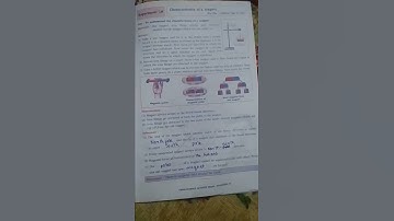 science activity book 6 th 16-23