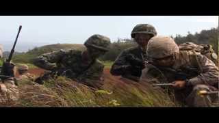 Major Amphibious Assault on Hawaii's Big Island - Exercise Rim of the Pacific 2012 - RIMPAC 2012