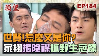 願望 EP184 完整版|爸 怎麼又是你!家翔捕捉野生冠傑 意外發現又是爸搞事!霏霏自導自演假摔樓 博愛不成反倒被拋棄?!|Desires|【萬士益冷氣】