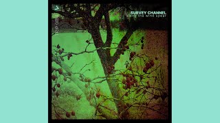 Survey Channel – Along the Wind Spear [2020]