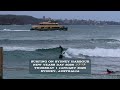 Surfing on Sydney Harbour - New Years Day 2026🏄🏻♂️🏄🏻♀️✨🎇
