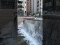 คลองชองกเยชอน (Cheonggyecheon Stream)