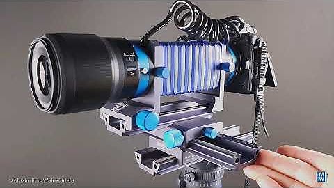 extreme macro, Novoflex auto bellows and AF at Nikon Z7