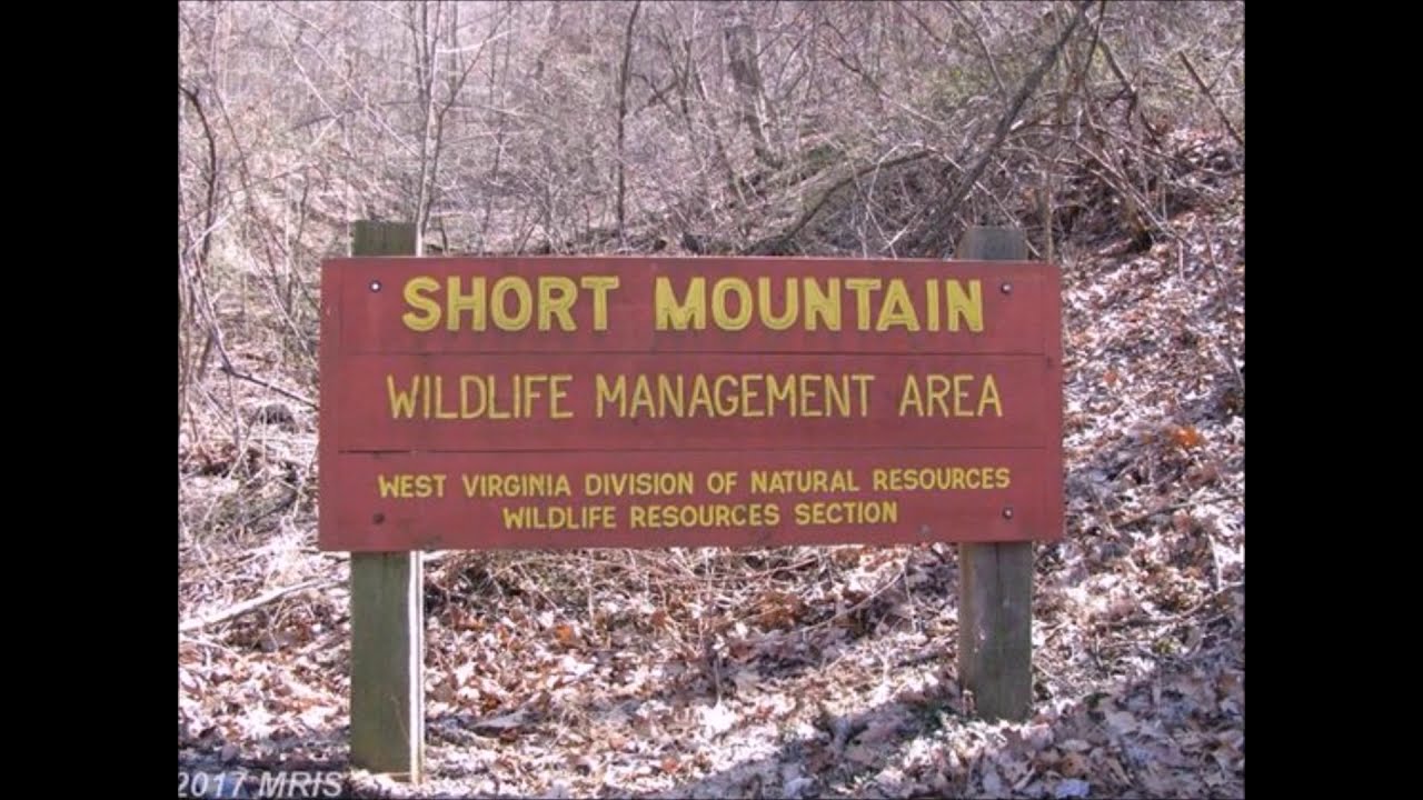 10 More Strangest National Park Disappearances (Vol. 25)