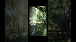 #nature peaceful video