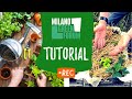 ORTO IN CASSETTA fai da te: workshop tutorial