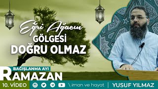 Eğri Ağacın Gölgesi Doğru Olmaz