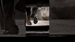 Rocky's Entry Scene | KGF Chapter 2 | Yash | Prashanth Neel | #kgf #kgf2 #yash #rocky #viral #movie🔥