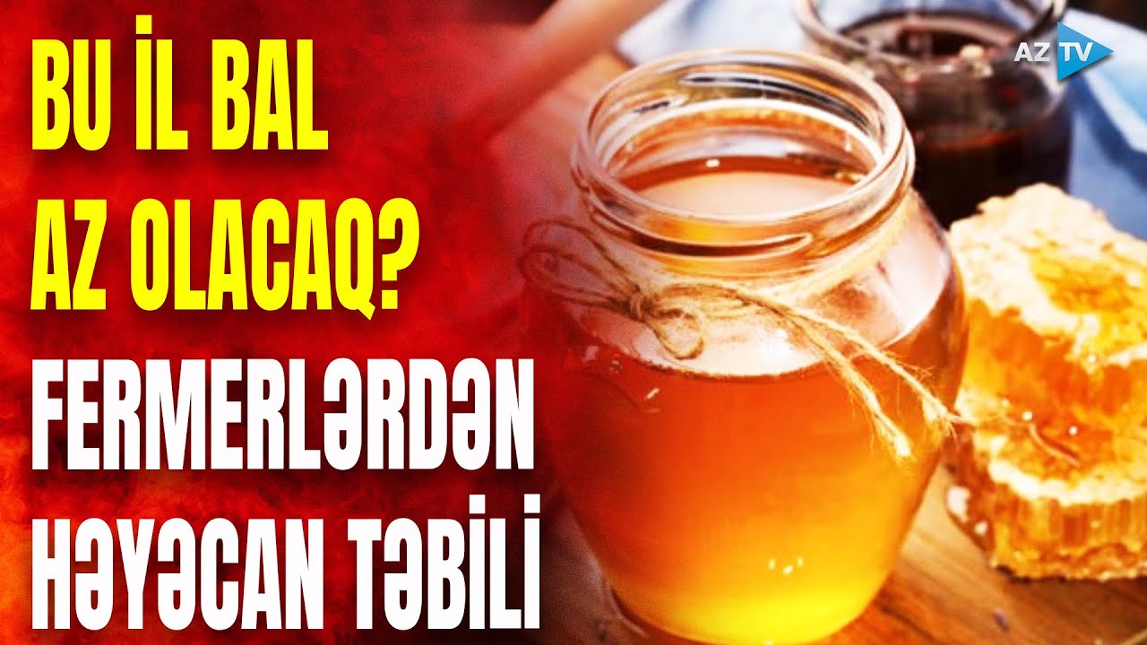 Bu ərazidə arılar nektar toplaya bilmədi: bal az olacaq? – Fermerlər həyəcan təbili çaldı