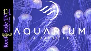 L’aquarium La Rochelle