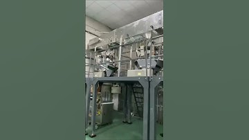 #304stainless Multi-Outlet Food Bucket Conveyor For Package System Modern Multi Drop Grain Bucket