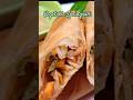 Crispy VEGETABLE SPRINGROLLS Lumpianggulay Lumpia 