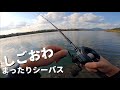 仕事終わりのベイトシーバス。渋かったケドなんとか70UP 編【リバーシーバス】