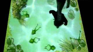 OM Interactive - omiVista splat template