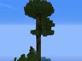 tutorial how to make a big tree in minecraft