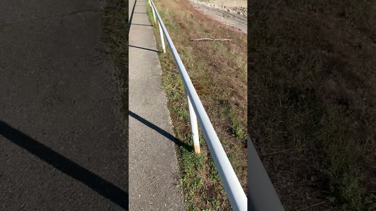 Nakusp bc life so awesome