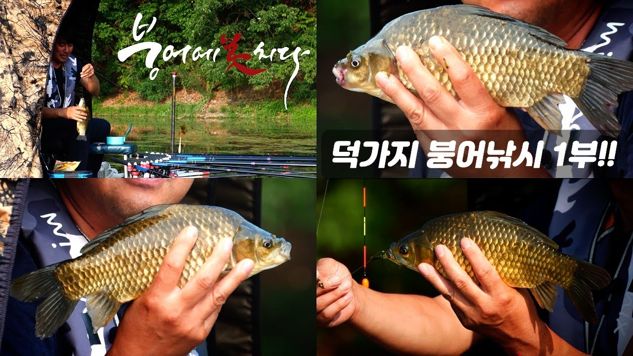 [173화] 덕가지 붕어낚시 1부 - FTV 붕어에미치다