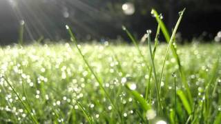 Stavros Ioannidis - Egw Ki Esu 彡