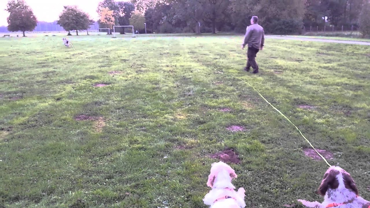 Vio Apportiertraining