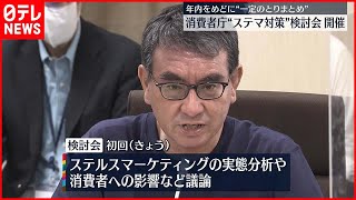 【消費者庁】“ステマ対策”初の検討会  年内めどに“とりまとめ”へ
