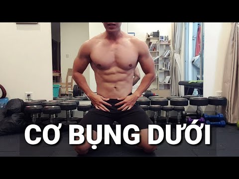 Video: Cách Xây Dựng Cơ Bụng Dưới Của Bạn