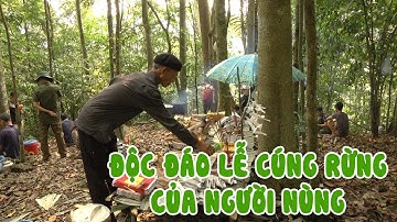 Độc đáo lễ cúng rừng của người Nùng xã Lùng Vai | THLC
