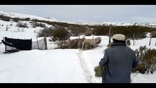 Vídeo de Hilachas