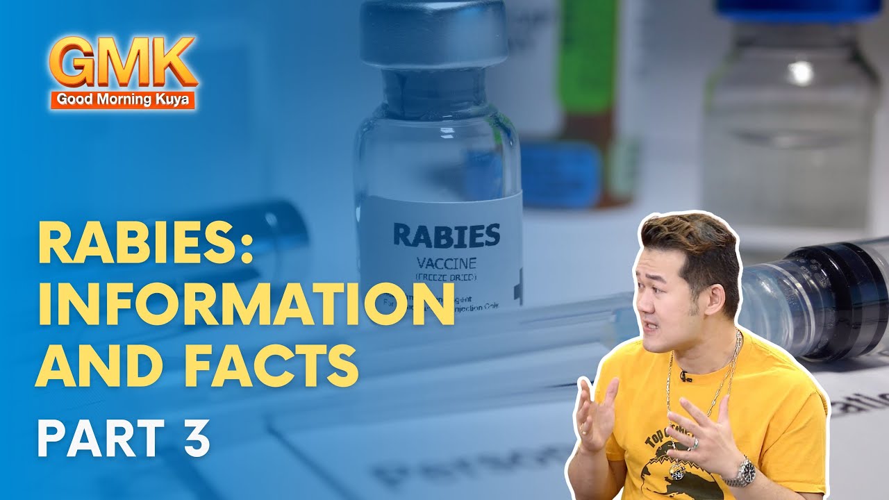 Можно ли человеку сделать прививку от бешенства, даже если он не был укушен или подвергнут воздей...