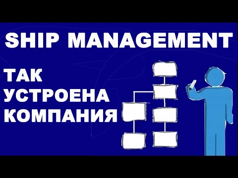 Как устроена судоходная компания.