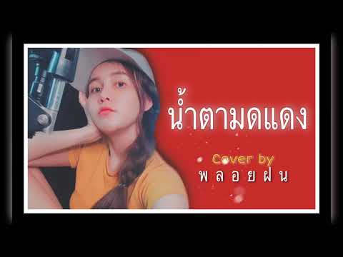 น้ำตามดแดง - พลอยฝน 【COVER VERSION 】| Original - จ่าหลอย เฮนรี่