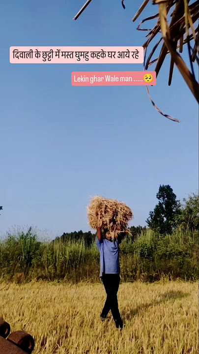 kono ni samjhe moro dil ke Dard la 🫣😁ll#villagerlifestyle #youtubeshorts #farminglife #chhattisgarh