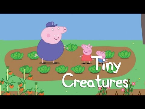 Peppa Pig Story - Tiny Creatures