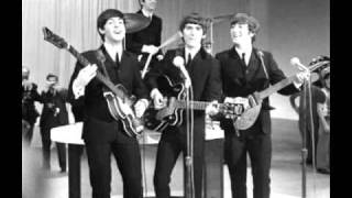 Video thumbnail of "The Beatles - Yes it is  (por Pablo Ferrer)"
