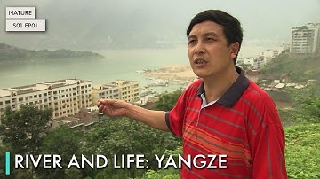 River and Life: Yangze