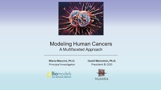 Modeling Human Cancer: A Multidisciplinary Approach