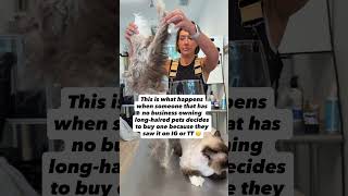 Pelting Abuse. First Time- You Get A P. Second Time- We Judging.